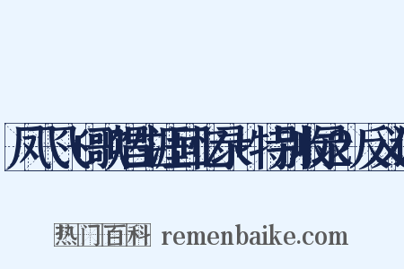 凤飞飞+歌唱生涯回忆录+特别收录2反义词是什么意思的图片